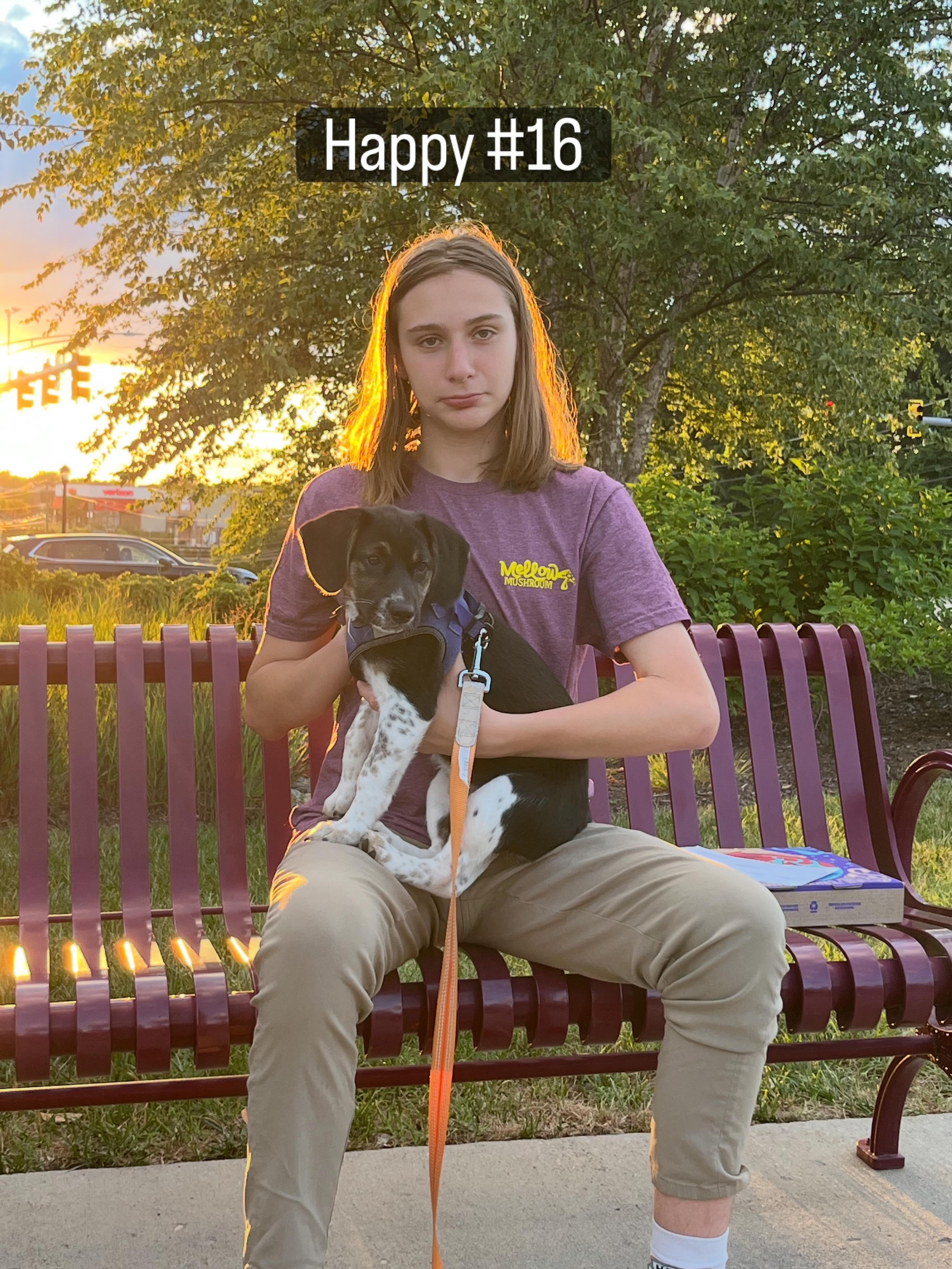 Happy Sweet Sixteen to this guy!